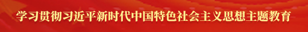 學(xué)習(xí)貫徹習(xí)近平新時(shí)代中國特色社會(huì)主義思想主題教育